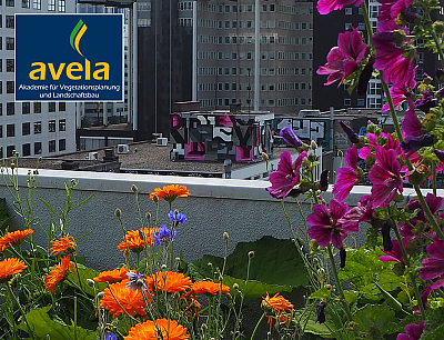 Mit Blumen bewachsenes Dach eines Hochhauses. Auf dem Bild ist das avela-Logo