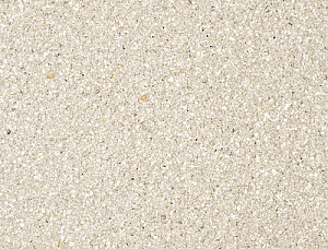 Farbbild von FORUM S in Nr. 123 Beige