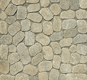 Farbbild ARENA Nr. 109 Braun-Schattiert