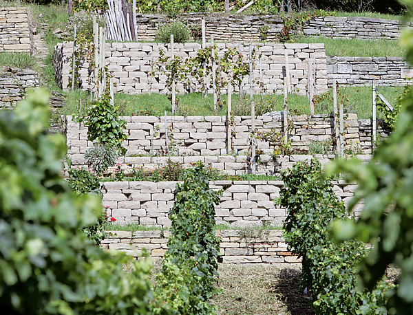 SANTURO oekologische Weinbergmauer in Wendelsheim