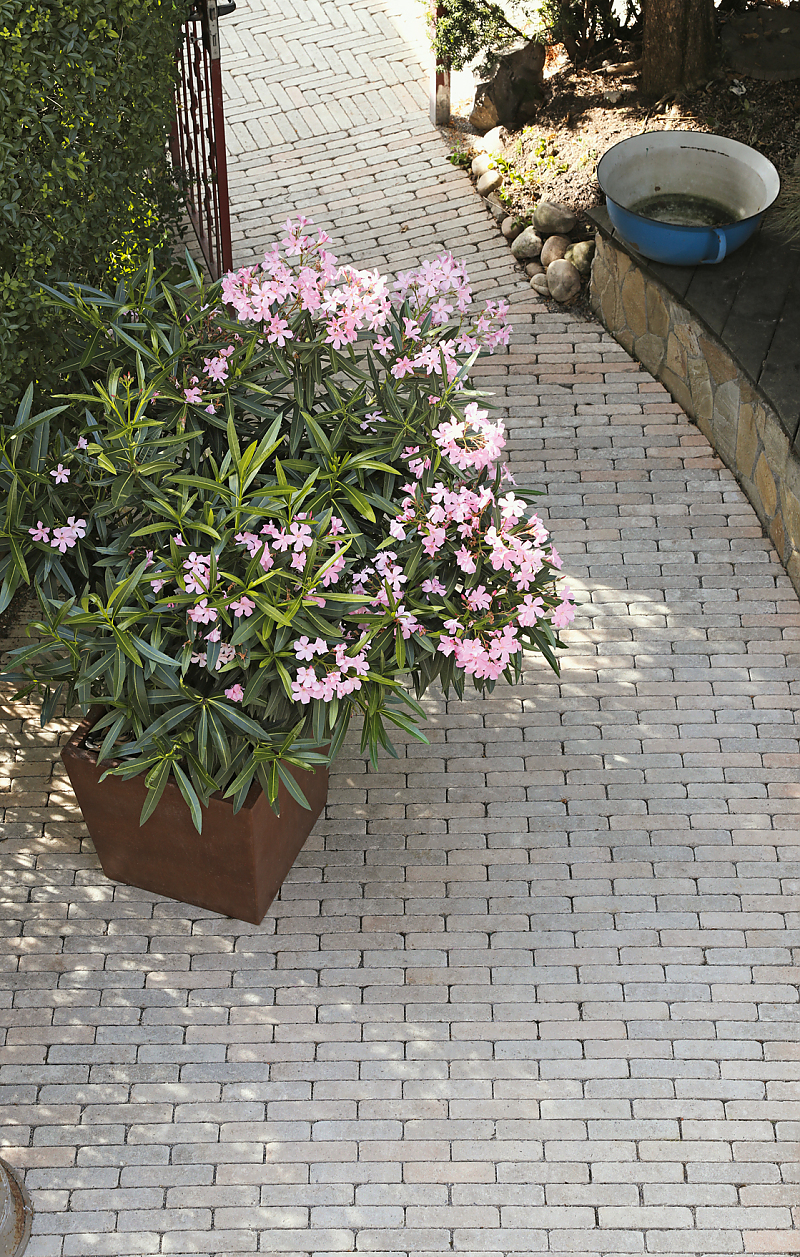 Gartenweg im mediterranen Stil mit MAURINO Riemchenstein