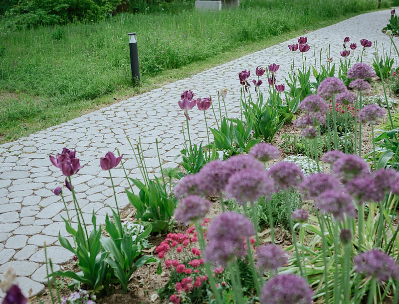 Gartenweg mit ARENA NOVA Pflastersteinen.