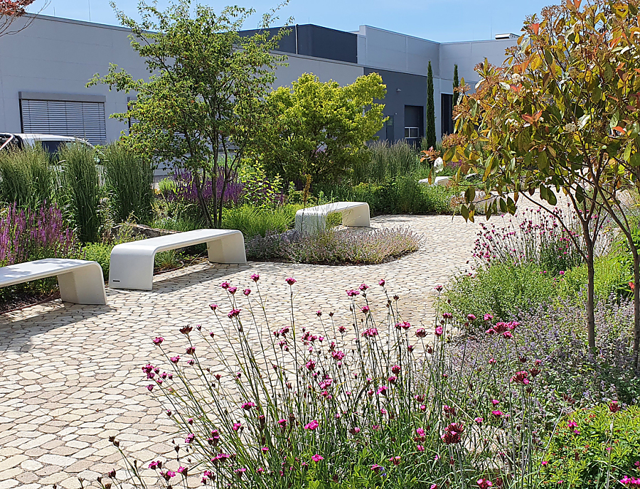 Arena bei der Zoller Academy Smart Factory in Pleidelsheim