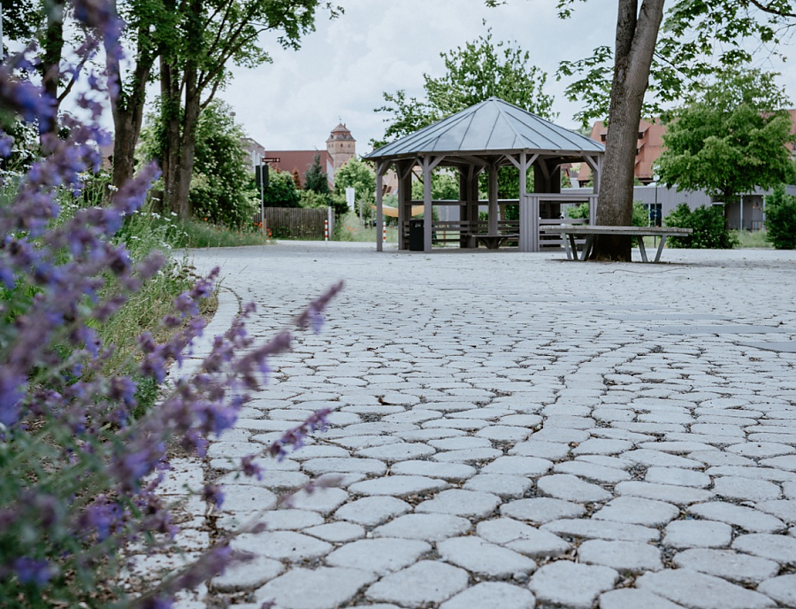 Arena Fläche