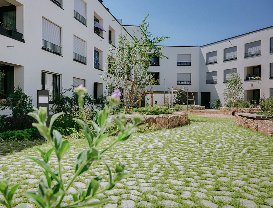 Platzgestaltung mit ARENA Vegetationsfugenstein Nr. 10 Naturgrau