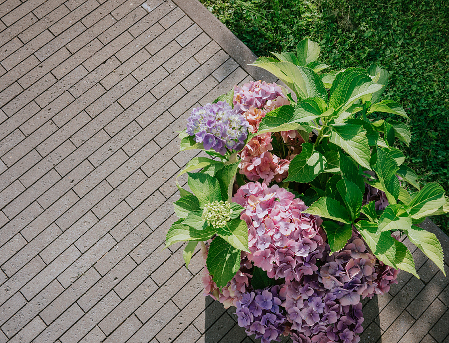 MAURINO Riemchenstein vollkantig Nr. 20 Anthrazit