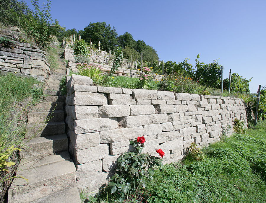 SANTURO ökologische Weinbergmauer
