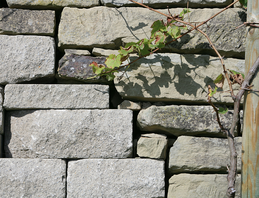 SANTURO ökologische Weinbergmauer