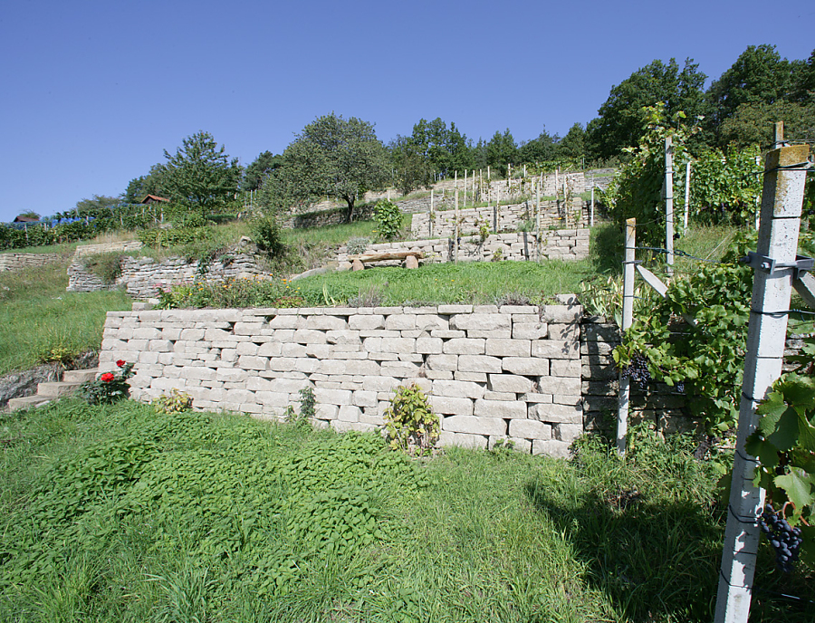 SANTURO ökologische Weinbergmauer