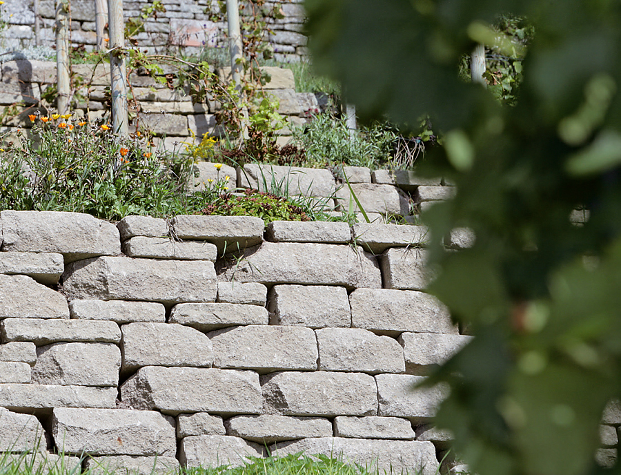 Nahaufnahme SANTURO ökologische Weinbergmauer