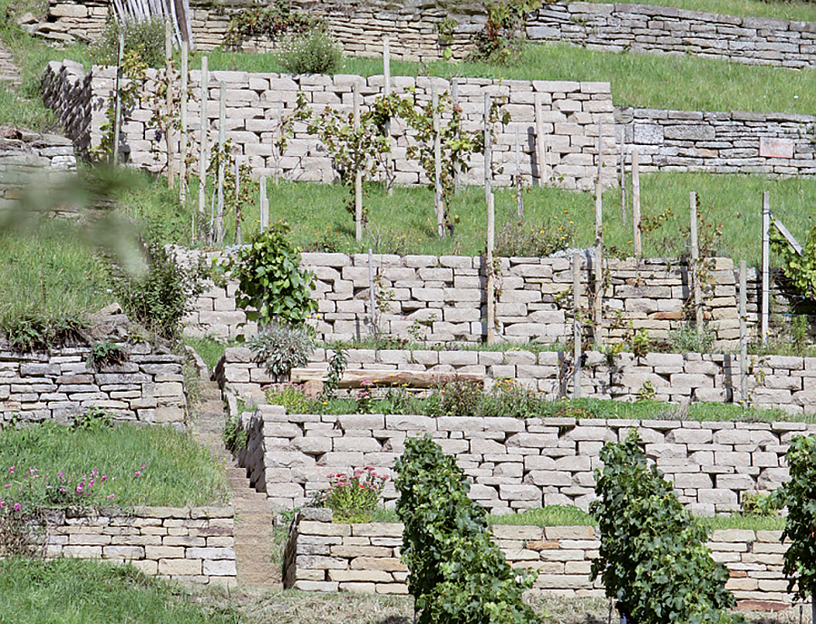 SANTURO ökologische Weinbergmauer in Wendelsheim Anwendung SANTURO ökologische Weinbergmauer