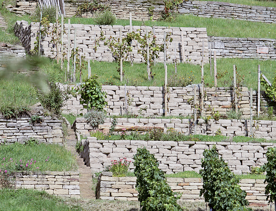 Anwendung SANTURO ökologische Weinbergmauer