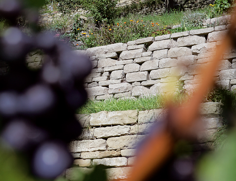 SANTURO ökologische Weinbergmauer in Wendelsheim Anwendung SANTURO ökologische Weinbergmauer
