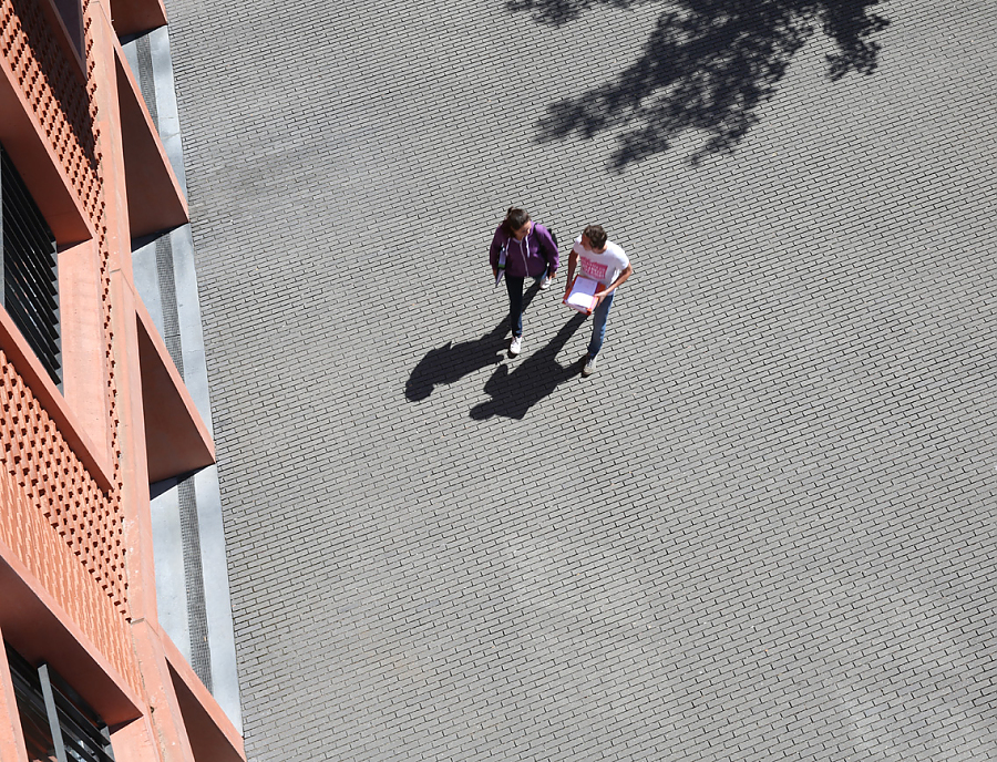 Pflasterstein MAURINO Riemchenstein Wege- und Platzgestaltung mit Pflasterstein MAURINO Riemchenstein vollkantig in der Farbe Anthrazit