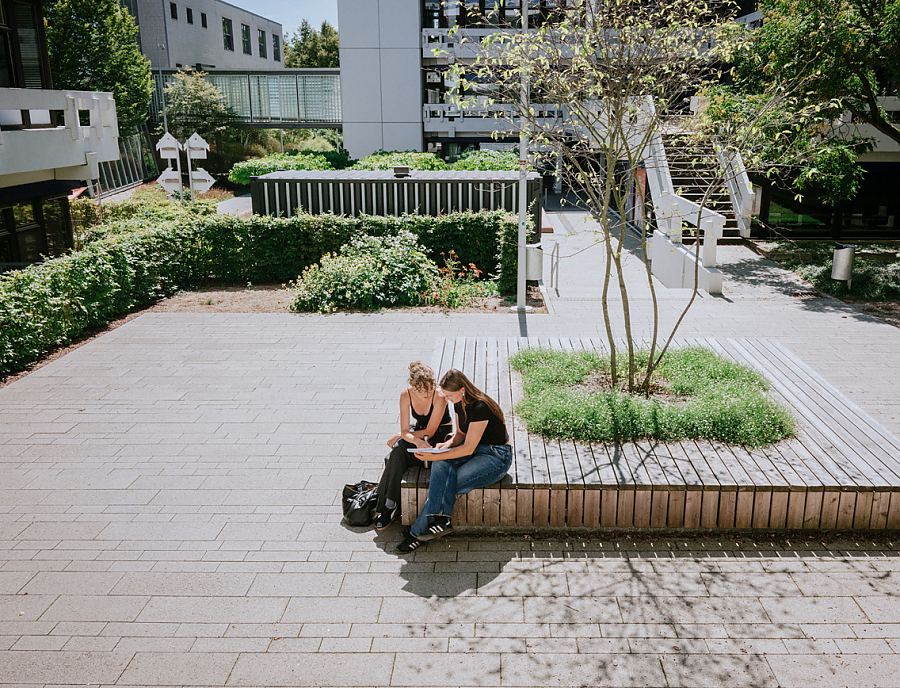 Hof mit LAMBADA FORTE PLANLINE Pflastersteine in der Farbe Naturgrau