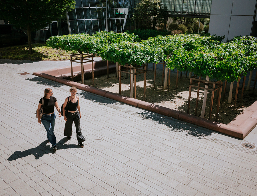 Hof mit LAMBADA FORTE PLANLINE Pflastersteine in der Farbe Naturgrau