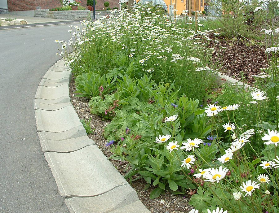 SF Ökorinne SF Ökorinne in der Farbe Naturgrau an einer Straße mit Ablauf in ein Pflanzenbeet