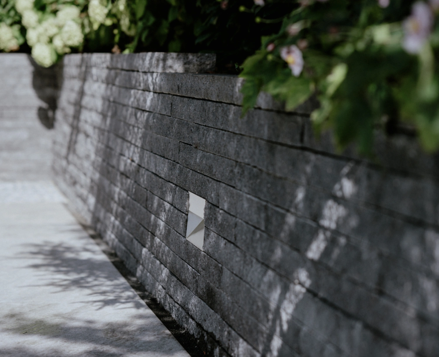 CULT LONG-LINE Mauer