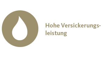 Icon: Hohe Versickerungsleistung