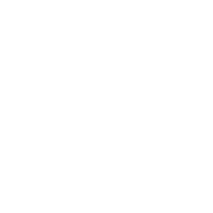 Logo Focus Open 2019 Gold