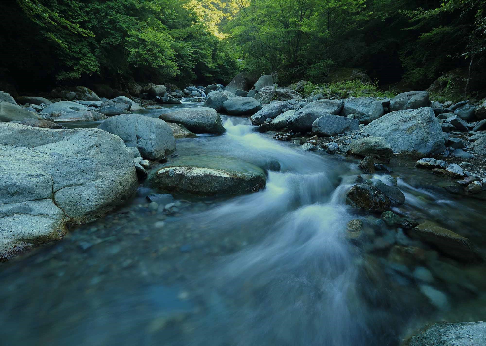 Flusslauf im Wald