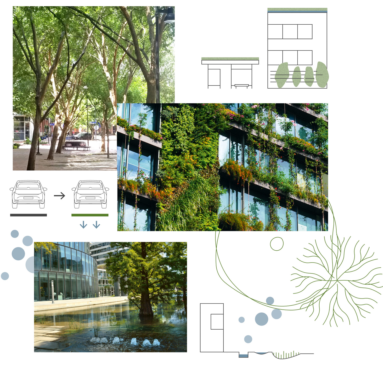 Bildcollage Grünanlagen, Gebäudebegrünung Wassermanagement