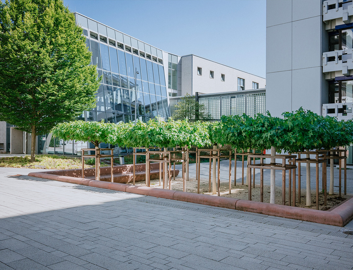 Lambada Forte Planline im Innenhof der HVF in Ludwigsbrug