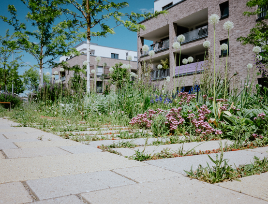 Gewehg mit begrünten Pflasterfugen